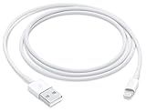 Apple Lightning auf USB Kabel (1 m)