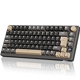 RK ROYAL KLUDGE M75 Gaming Tastatur kabellos 75% Prozent TKL Mechanische Tastatur RGB 2,4 GHz...