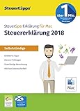 SteuerSparErklärung Selbstständige 2019