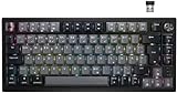 CORSAIR K65 PLUS WIRELESS 75% RGB Hot-Swap-Fähige Mechanische Gaming-Tastatur - Vorgeschmierte MLX...