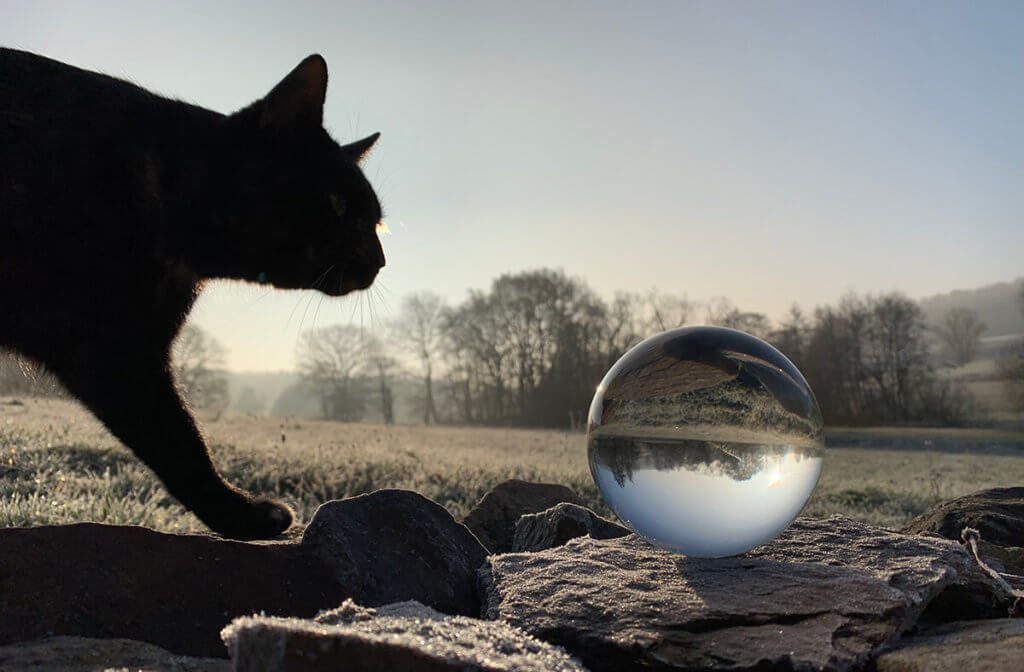 Ouille!   23+  Vérités sur  Lensball Fotografie Schnee? Leg de lensball bijvoorbeeld eens in een plas water, op een spiegel of experimenteer met bokeh.