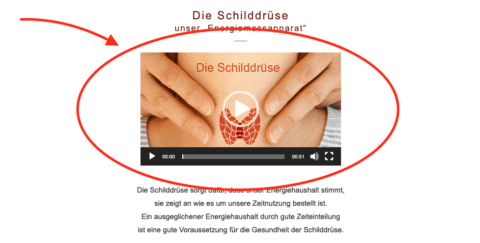 Anleitung: Selbstgehostetes .mp4-Video in Wordpress einbetten